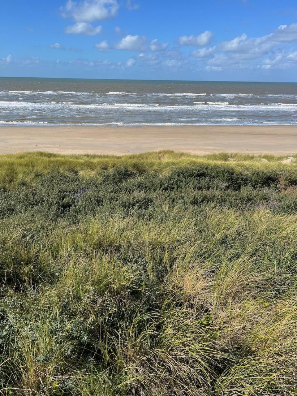 Studio34 Zandvoort Free Parking Bagian luar foto